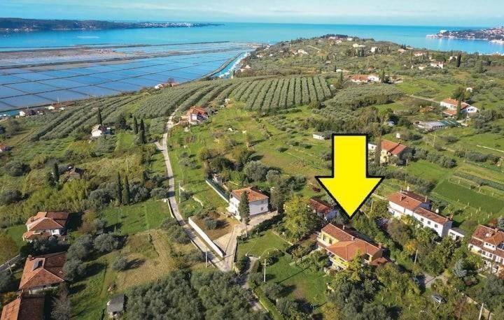 Vista Del Sal Apartman Portorož Kültér fotó
